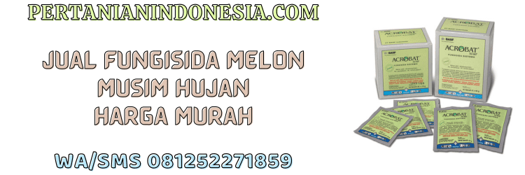 jual,murah,terjangkau,toko pertanian terdekat,pertanian indonesia